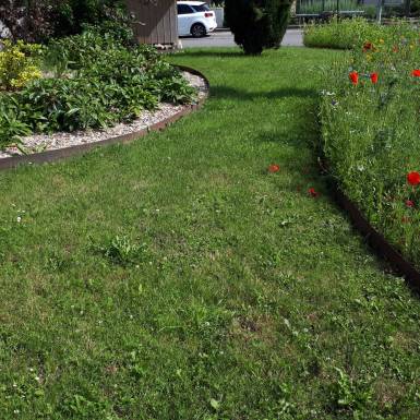Bordure de jardin en acier corten brut en 3 ml délimitant un massif floral dans un jardin gazonné et verdoyant