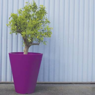 amenagement-prive-pot-de-fleurs-plastique-vase-Les-Serruriers-du-Paysage